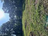 4528 Hanging Moss Road - Photo 1