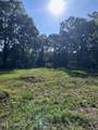 4528 Hanging Moss Road - Photo 2