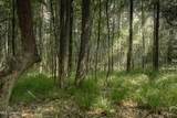 000 Dog Pen Rd - Photo 10