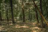 000 Dog Pen Rd - Photo 4
