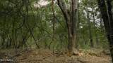 000 Dog Pen Rd - Photo 10