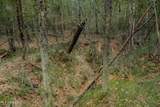 000 Dog Pen Rd - Photo 11