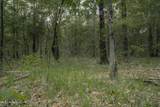 000 Dog Pen Rd - Photo 5