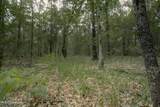 000 Dog Pen Rd - Photo 6