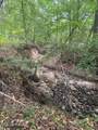 1270 Hwy 469 - Photo 22
