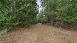1270 Hwy 469 - Photo 5