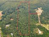 1270 Hwy 469 - Photo 9