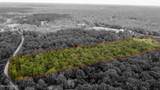  12 Acres Wall Hill Farms Road - Photo 10