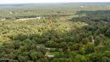 12 Acres Wall Hill Farms Road - Photo 8