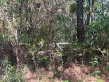  Martin Young Road - Photo 1
