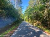  Martin Young Road - Photo 5