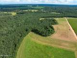 Parcel A J. Runnels Road - Photo 11