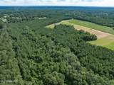 Parcel A J. Runnels Road - Photo 13