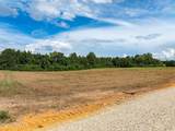 Parcel A J. Runnels Road - Photo 6