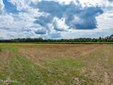 Parcel A J. Runnels Road - Photo 7