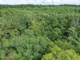 Parcel C J. Runnels Road - Photo 10