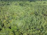 Parcel C J. Runnels Road - Photo 11