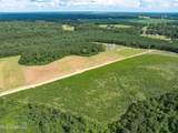 Parcel C J. Runnels Road - Photo 12