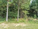 Parcel C J. Runnels Road - Photo 9