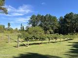 3007 Wilkins Chapel Road - Photo 12