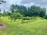 3007 Wilkins Chapel Road - Photo 29