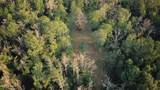  Sumrall Road - Photo 13