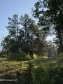  Sumrall Road - Photo 10