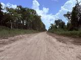  Old Hwy 190 Road - Photo 15