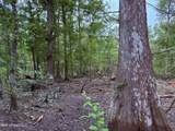  Old Hwy 190 Road - Photo 20