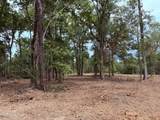  Old Hwy 190 Road - Photo 30