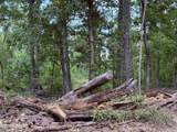  Old Hwy 190 Road - Photo 34