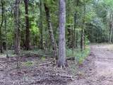  Old Hwy 190 Road - Photo 36
