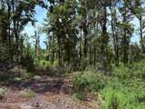  Old Hwy 190 Road - Photo 40