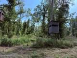  Old Hwy 190 Road - Photo 41