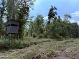  Old Hwy 190 Road - Photo 42