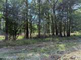  Old Hwy 190 Road - Photo 43