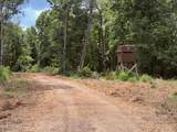  Old Hwy 190 Road - Photo 47