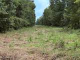  Old Hwy 190 Road - Photo 48