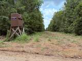  Old Hwy 190 Road - Photo 49
