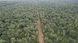  Old Hwy 190 Road - Photo 57