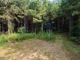 4069 Dixie Garden Road - Photo 2