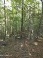  Cub Brown Road - Photo 12