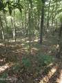  Cub Brown Road - Photo 13