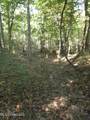  Cub Brown Road - Photo 14