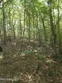  Cub Brown Road - Photo 16