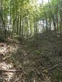  Cub Brown Road - Photo 17