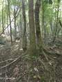  Cub Brown Road - Photo 19