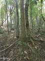  Cub Brown Road - Photo 20