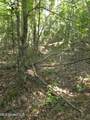  Cub Brown Road - Photo 24