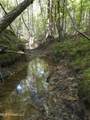  Cub Brown Road - Photo 26